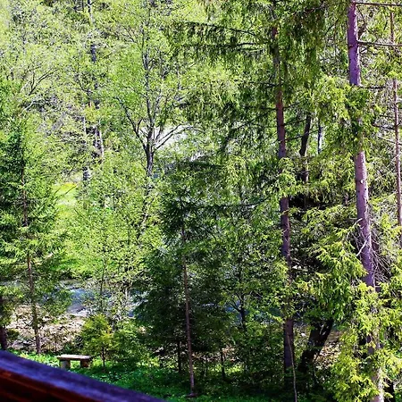 Guest house Три Брати Grebenov