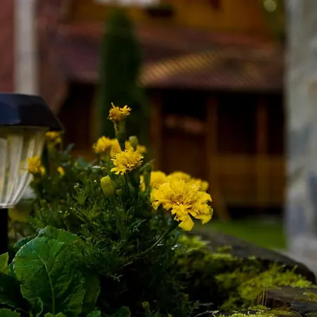 Guest house Три Брати *