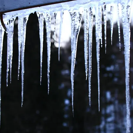 Guest house Три Брати Grebenov