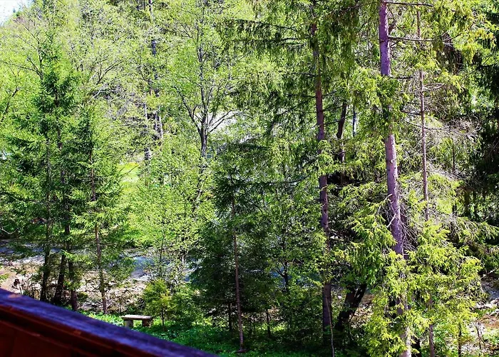 Guest house Три Брати Grebenov